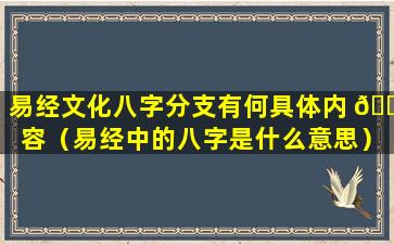 易经文化八字分支有何具体内 🕷 容（易经中的八字是什么意思）